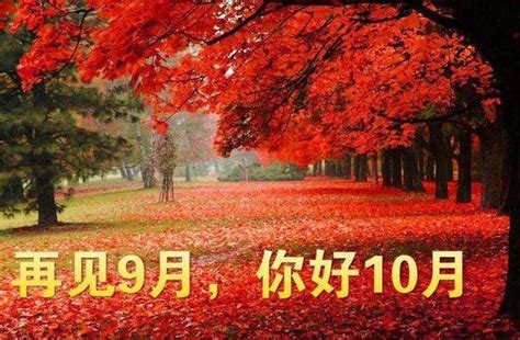 再见十月图片