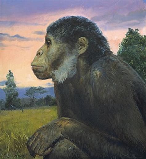 森林古猿复原图 - 化石网