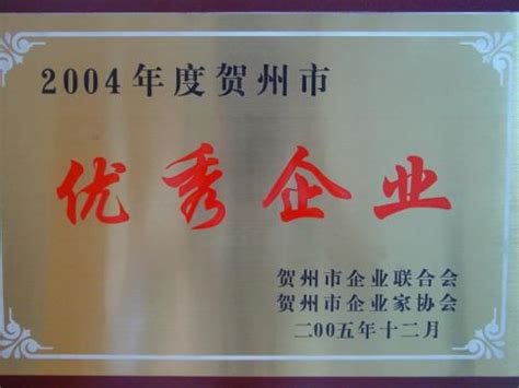 2004年 2004年度贺州市优秀企业_广西贺州市桂东电子科技有限责任公司
