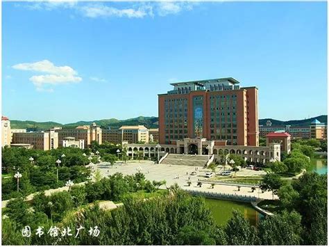 中软国际大学
