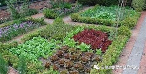 休闲菜园设计实景图,最美庭院菜园图片,菜园布置_大山谷图库