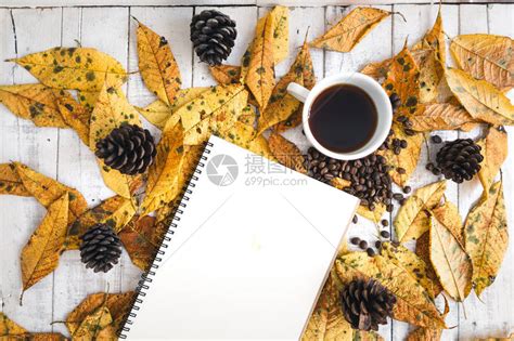 白色和秋天的黄叶和一杯咖啡高清图片下载-正版图片504319325-摄图网