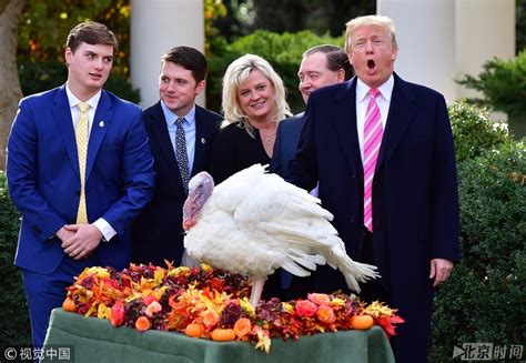 白宫举办感恩节火鸡赦免仪式 总统特朗普抚摸火鸡激情演讲
