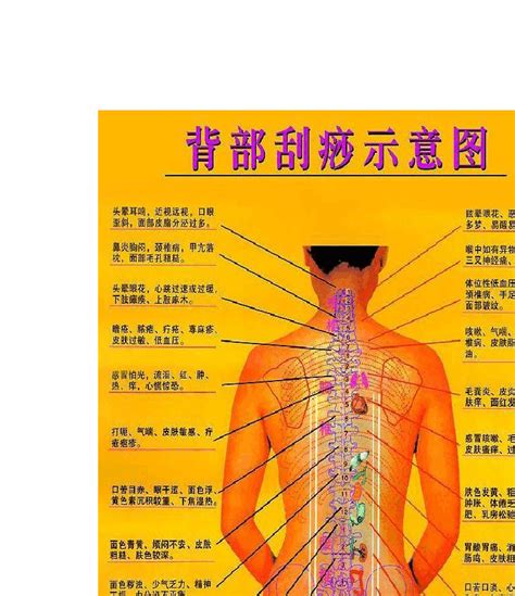 背部刮痧示意图图片
