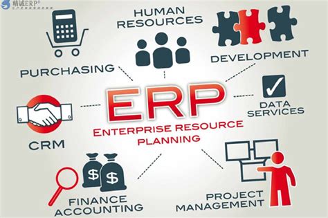 企业ERP软件定制、软件开发