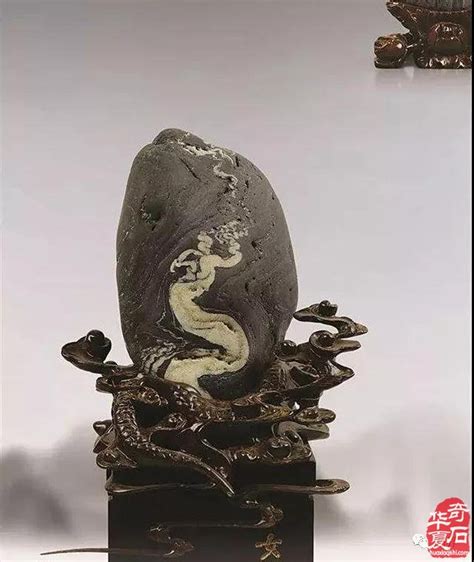 中国观赏石协会
