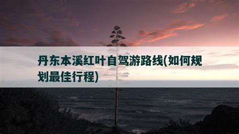 【秋游记】青岛——盘锦——营口——大连——天津，环渤海湾自驾行！