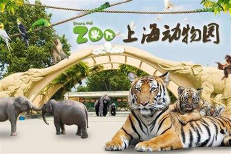 上海动物园开放时间是几点到几点(附交通指南)_旅泊网