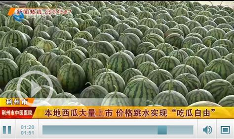 荆州本地西瓜大量上市 价格跳水实现“吃瓜自由”_荆州新闻网_荆州权威新闻门户网站