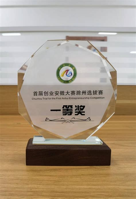 园区项目喜获首届创业安徽大赛滁州选拔赛第一名_滁州高教科创城