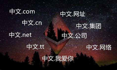 中文域名有什么用，价值在那里？_迅速域名查询系统