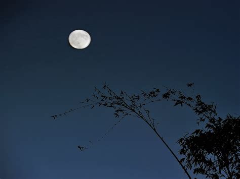 【月夜摄影图片】澳門纪实摄影_灵光峰_太平洋电脑网摄影部落