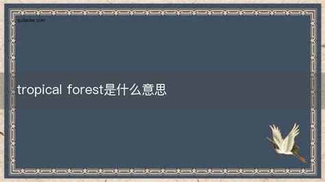 forest是什么意思（盘点韩剧forest的梗） | 刀哥爱八卦