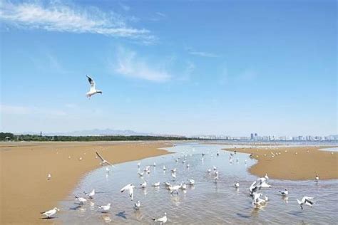 秦皇岛北戴河好玩吗？可以冲浪、看海景、吃海鲜，很值得一去
