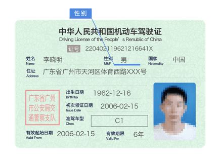 驾照国际翻译认证件_驾照公证件-租租车