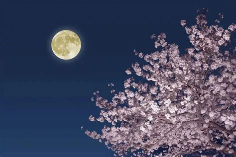 描写月亮的诗句 形容圆月的唯美诗句_万年历