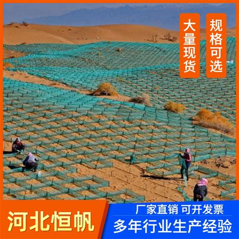 方格沙障的功能防沙围网用于绿化生态恢复治沙工程 - 恒帆 - 九正建材网