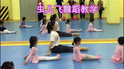 虫儿飞舞蹈教学-天津舞蹈教学 完整版舞蹈表演版_腾讯视频