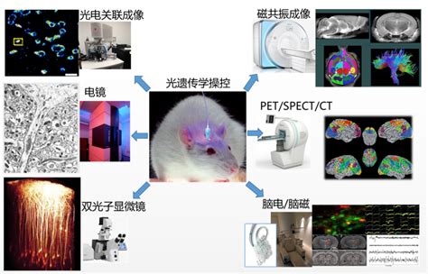 锂离子电池健康状态估计简介（一）：基于Python的数据处理计算SOH,RUL,CCCT,CVCT | AI技术聚合