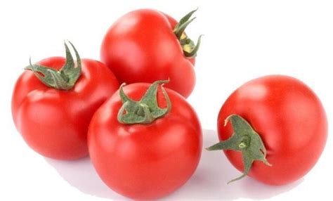 番茄和西红柿有什么区别？ - 西红柿 - 蛇农网