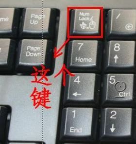 电脑键盘不能打字了按哪个键恢复_搜狗指南