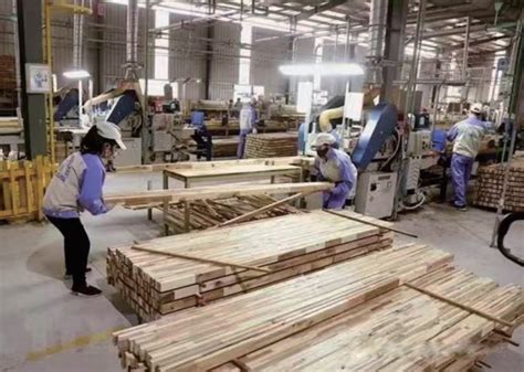 贵港市产业园投资29.8亿元，引入9个木业项目