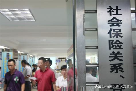 上海社保怎么查询缴费记录-找法网
