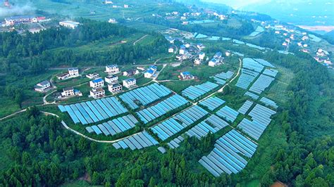广元市优质特色农产品暨现代农业投资推介会在杭州召开-广元市农业农村局