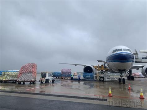 迎台风“梅花” 南航取消上海进出港36个航班-中国民航网