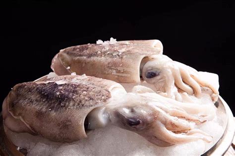 宁波舟山海鲜海产品冰鲜礼盒泥螺蟹电商拍摄_王派商业美食摄影-站酷ZCOOL