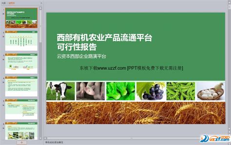绿色蔬菜农产品介绍宣传推广PPT模板-515PPT