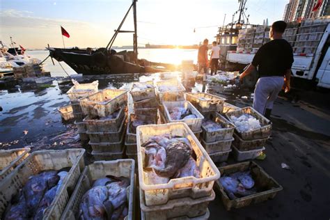 开海啦！济南海鲜市场实现“海鲜自由” 8元买生蚝十几元吃鲜鱼_手机新浪网