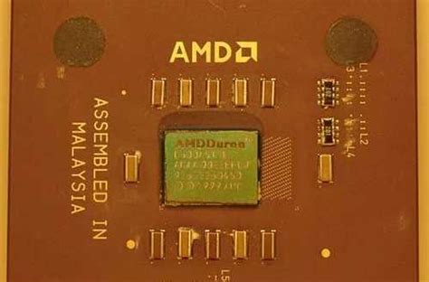 AMD 将于上半年推出 EPYC Bergamo，下半年推出 Instinct MI300|AMD|EPYC|cpu_新浪新闻