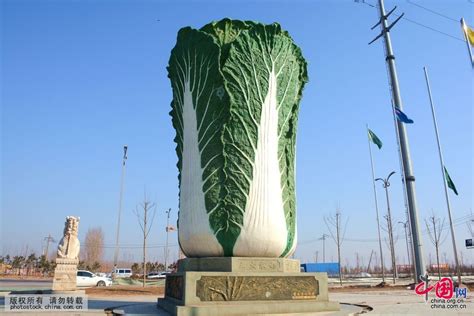 9米高“巨型大白菜”雕塑亮相山东聊城[组图]_图片中国_中国网