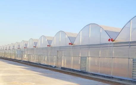 青州市恒晨农业科技有限公司_智能连栋温室,日光温室,塑料大棚,玻璃温室,科研温室
