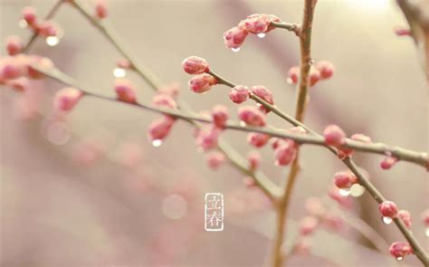 春暖花开gif动图图片-正版gif素材401012964-摄图网