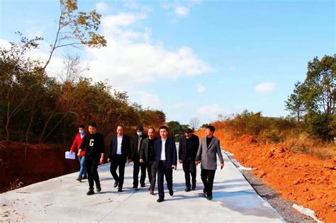 永州经开区领导带队调研在建重点项目 - 永州 - 新湖南