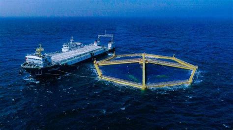 “湾区横洲号”深远海养殖平台交付 3月将在珠海横洲海域投用