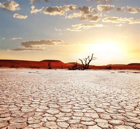 解密世界防止荒漠化和干旱日 干旱为什么如此可怕？_手机凤凰网