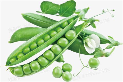 小豌豆