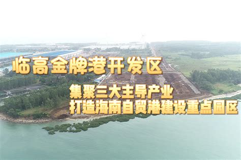 中国能建浙江院总承包的海南临高100兆瓦农光互补光伏发电项目开工 - 新能源 - 电力科技网