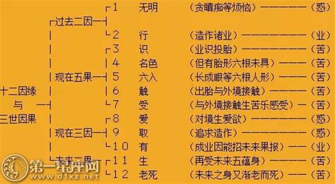 十二因缘图解图片