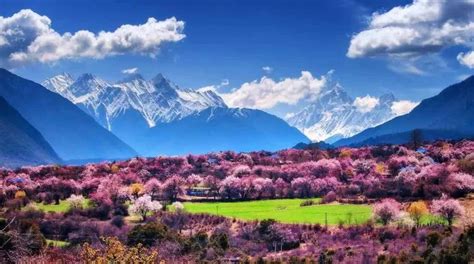 三月林芝桃花节，藏地江南最美的春天就是人间的天堂|八一镇|林芝|桃花_新浪新闻
