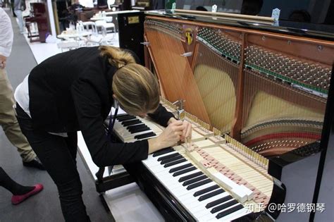 电子琴与钢琴的区别和联系是什么-图司机百科