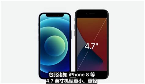 iphone13系列屏幕尺寸多大?iphone13系列屏幕尺寸大小一览_沃游网