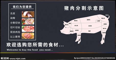猪肉分割图设计图__广告设计_广告设计_设计图库_昵图网nipic.com