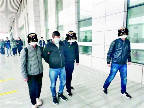鲁中晨报--2019/11/21--淄博--“张姐”露马脚 跨省贩毒团伙被打掉