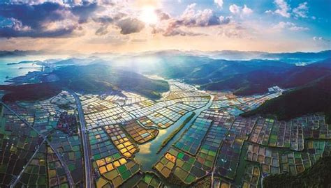 关于浙江高质量发展建设共同富裕示范区的几点思考与建议__凤凰网