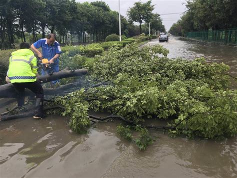 台风“温比亚”致河南内涝灾害 近两百万人受灾_凤凰资讯