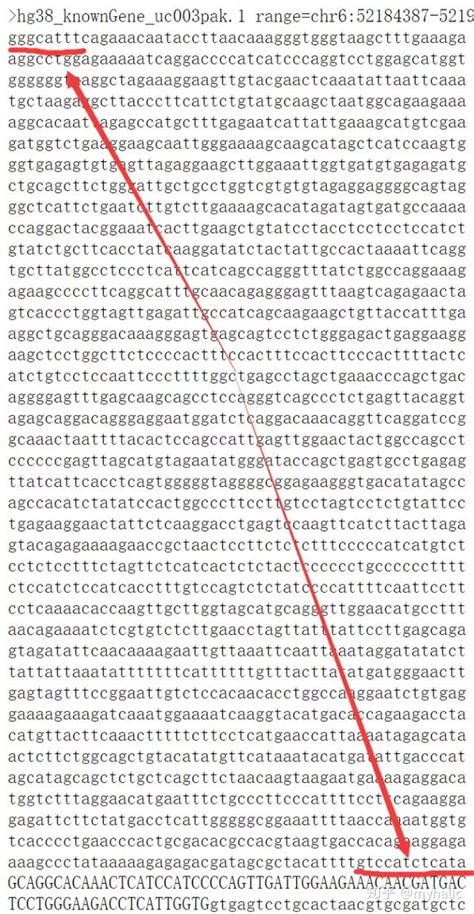 ncbi中查找基因序列的方法和三个号码_360新知